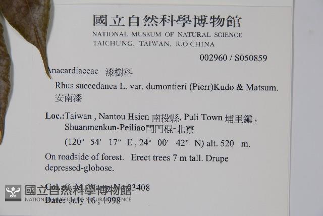 安南漆藏品圖，第2張