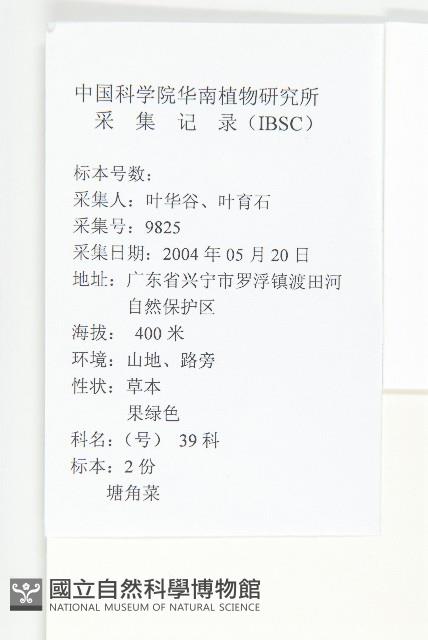 葶藶藏品圖，第2張