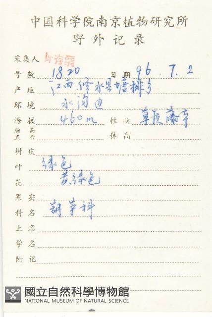 合子草藏品圖，第2張