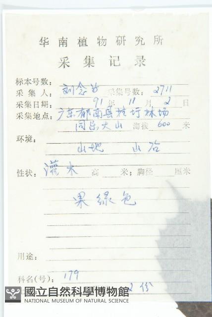 桃葉珊瑚藏品圖，第2張