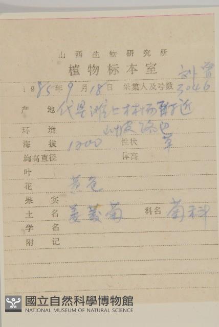 姜菱菊藏品圖，第2張