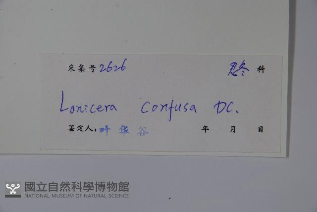 山銀花藏品圖，第2張