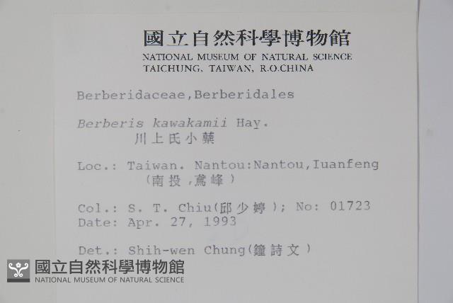 臺灣小蘗藏品圖，第2張