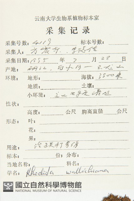 登錄號:S021959藏品圖，第2張