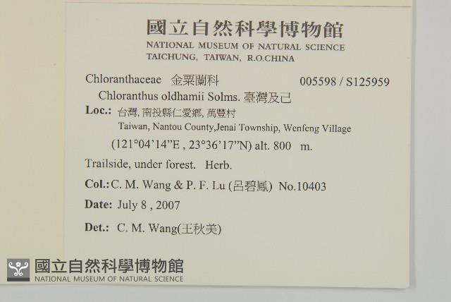 臺灣及己藏品圖，第2張