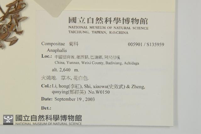 登錄號:S135959藏品圖，第2張