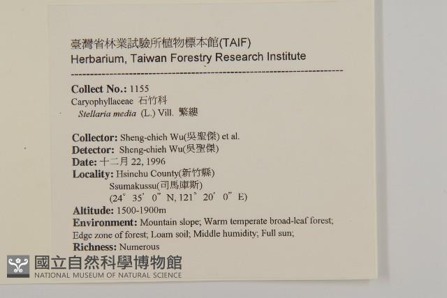 繁縷藏品圖，第2張