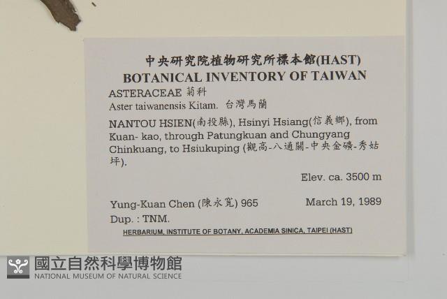 臺灣馬蘭藏品圖，第2張