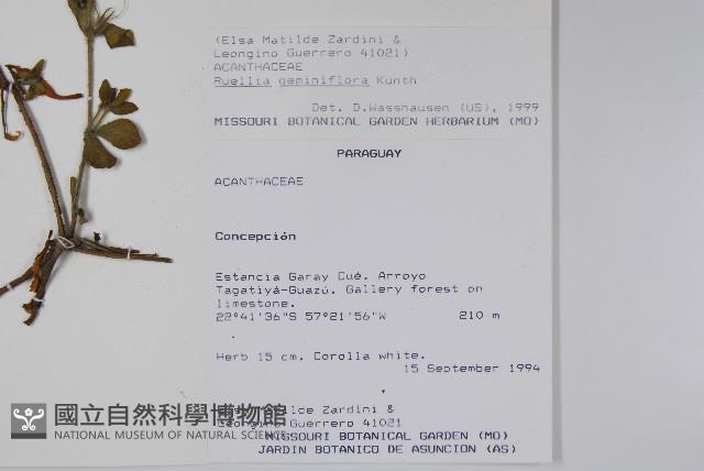 登錄號:S080559藏品圖，第2張