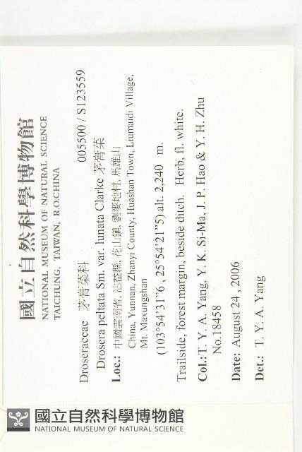 茅膏菜藏品圖，第2張