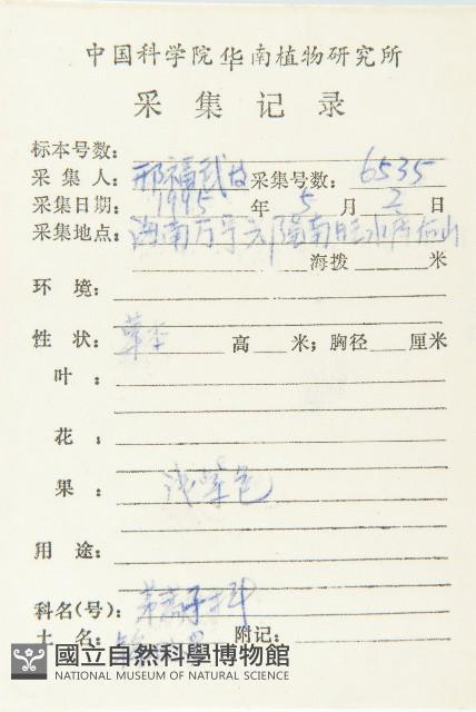 金錢草、錦地羅藏品圖，第2張