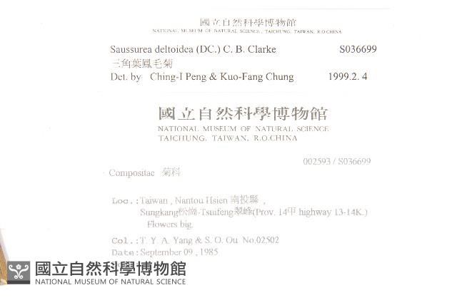 臺灣青木香藏品圖，第2張