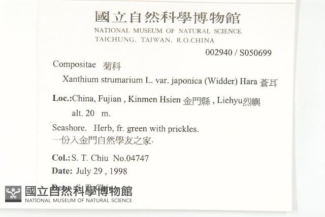 蒼耳藏品圖，第2張