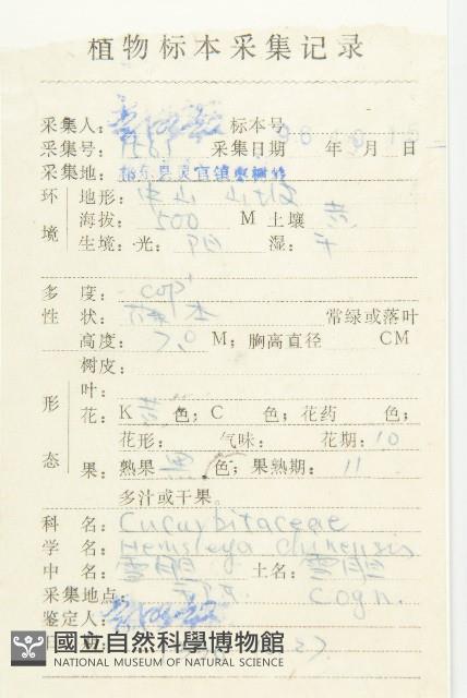 雪膽藏品圖，第2張