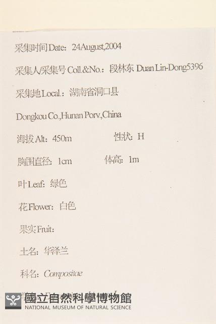 華澤蘭藏品圖，第2張