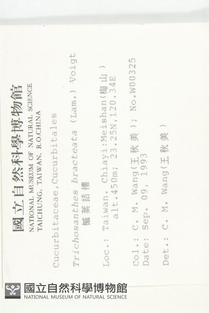 槭葉括樓藏品圖，第2張