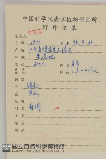 黃花蒿藏品圖，第2張