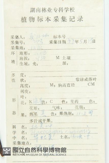 華杜英藏品圖，第2張