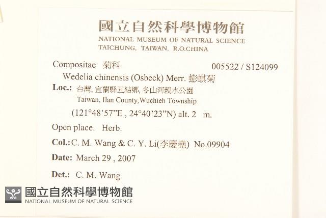 蟛蜞菊藏品圖，第2張