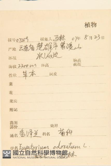 飛機草藏品圖，第2張