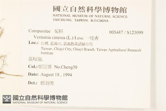 一枝香藏品圖，第2張