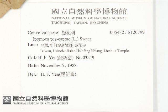 登錄號:S120799藏品圖，第2張