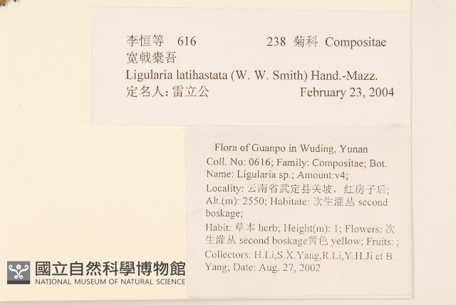 寬戟橐吾藏品圖，第2張