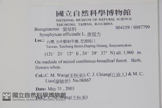 康復力藏品圖，第2張