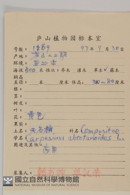 天名精藏品圖，第2張