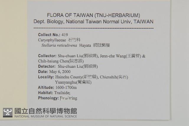 網脈繁縷藏品圖，第2張