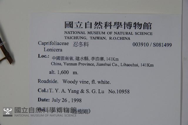 登錄號:S081499藏品圖，第2張