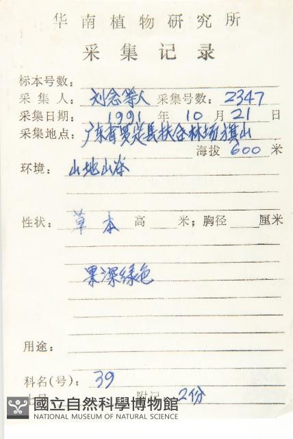 小葶藶藏品圖，第2張