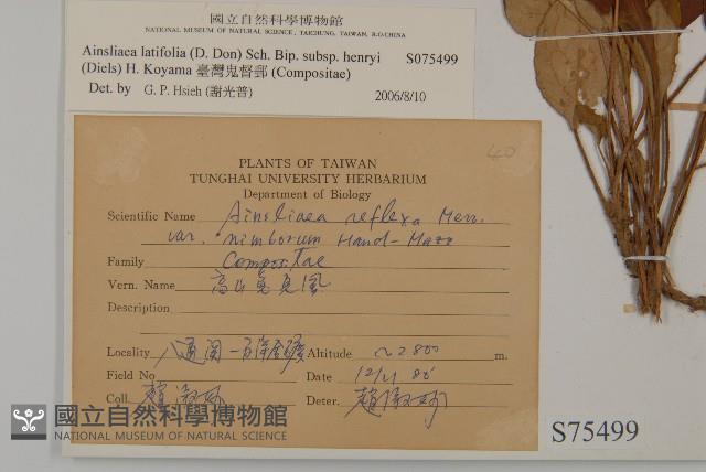 臺灣鬼督郵藏品圖，第2張