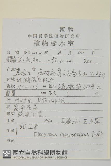 黃瓢子藏品圖，第2張