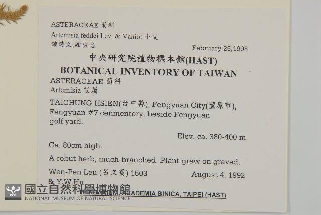 小艾、矮蒿藏品圖，第2張
