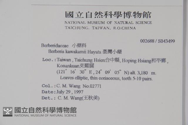 臺灣小蘗藏品圖，第2張