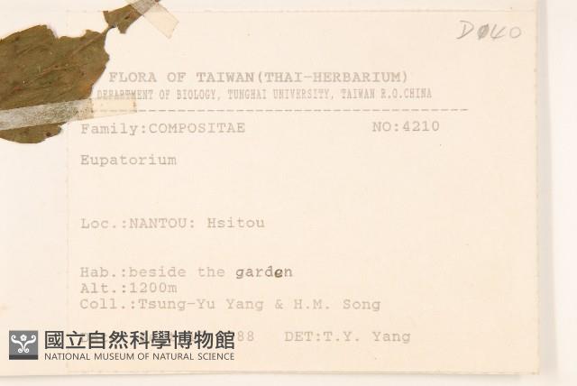 登錄號:S076199藏品圖，第2張