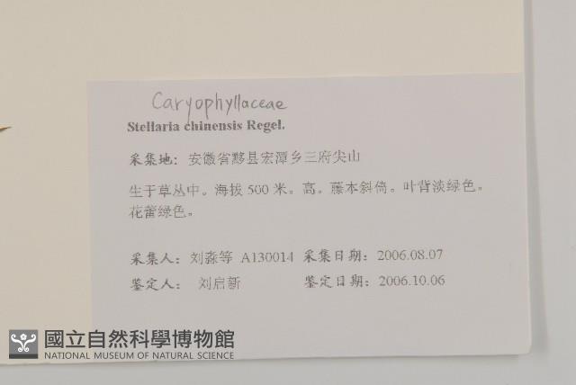 中國繁縷藏品圖，第2張