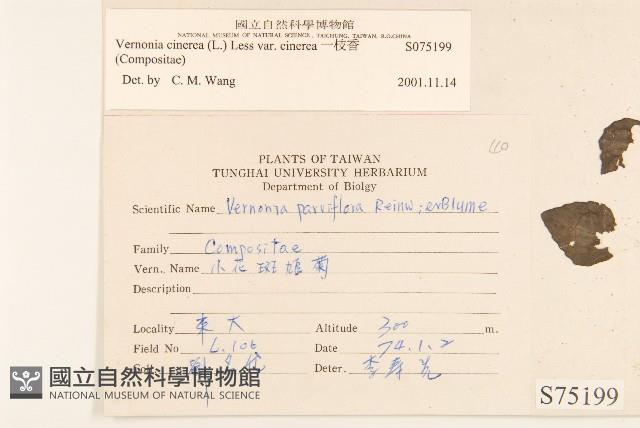 一枝香藏品圖，第2張