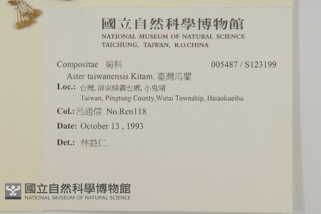 臺灣馬蘭藏品圖，第2張