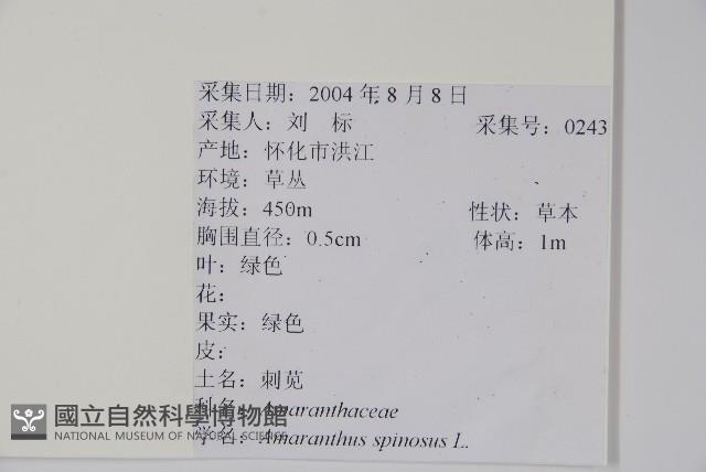 刺莧藏品圖，第2張