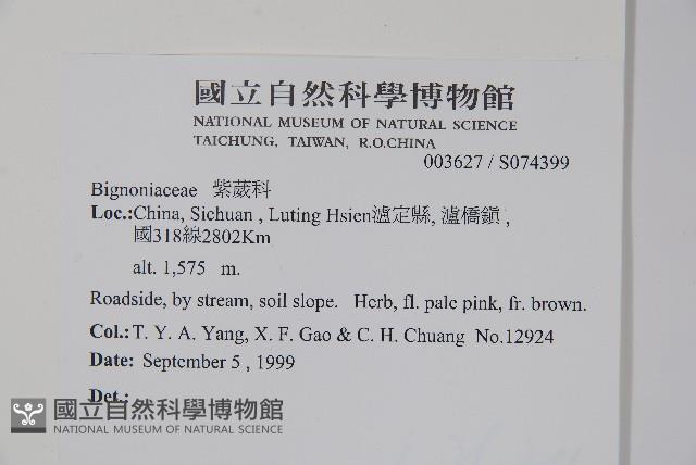 登錄號:S074399藏品圖，第2張