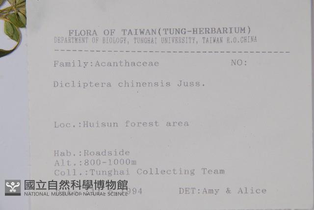 Accession Number:S067399 Collection Image, Figure 2, Total 2 Figures