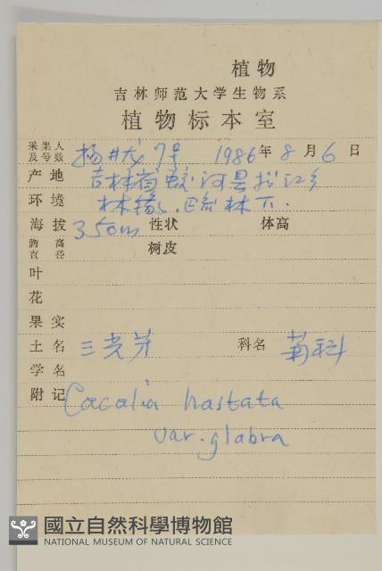 無毛山尖子藏品圖，第2張