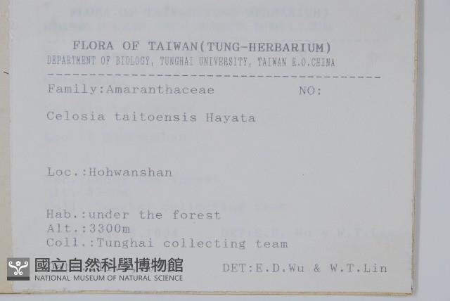 臺東青葙藏品圖，第2張