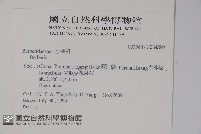 粉葉小檗藏品圖，第2張