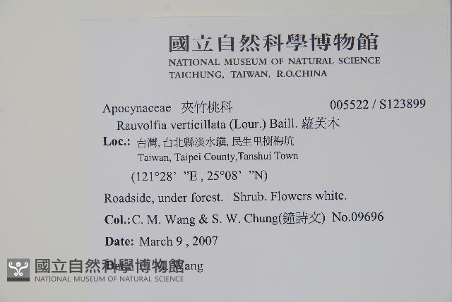 蘿芙木藏品圖，第2張