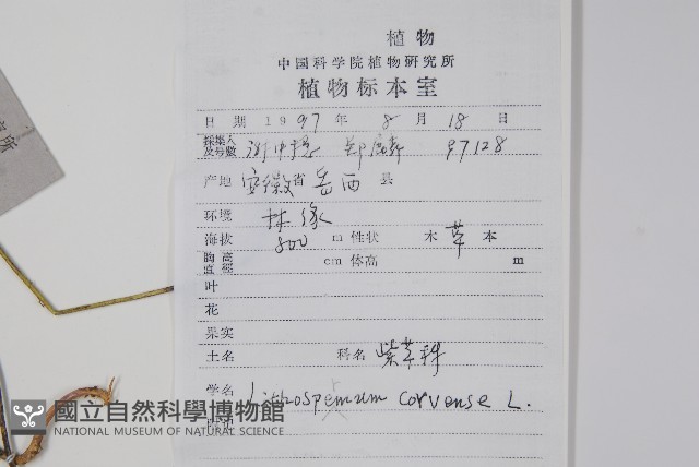 登錄號:S047899藏品圖，第2張