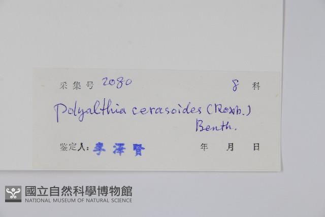 細基丸藏品圖，第2張