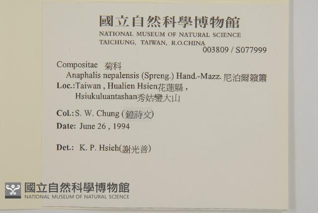 尼泊爾籟簫藏品圖，第2張